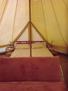 Glamping C Selva Tenda Quercia